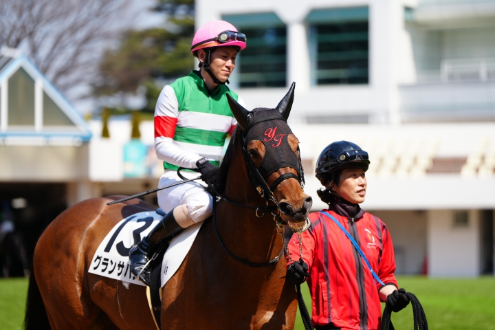 2025/3/23 障害未勝利 グランサバナ