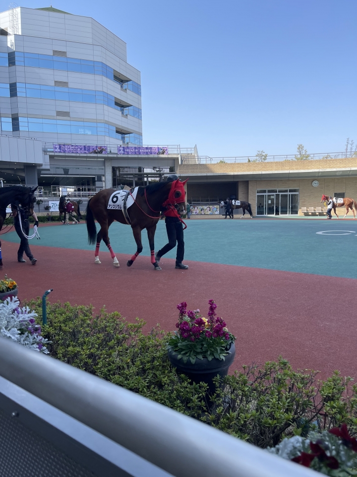 2023/3/11 3歳未勝利 アンスリウム