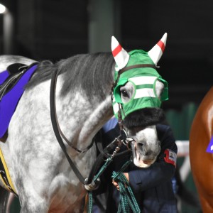 2025/12/23 ゴールドC(S1)