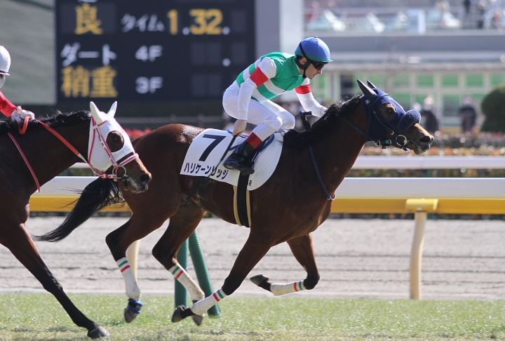 未勝利戦 ハリケーンリッジ