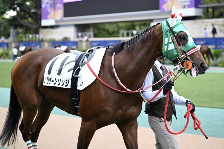 2025年10月 ハリケーンリッジ