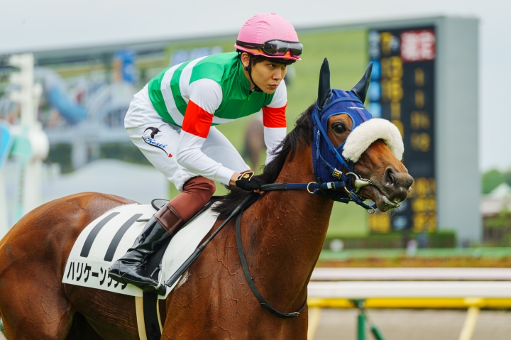 2023/6/10 3歳以上1勝クラス(牝) ハリケーンリッジ