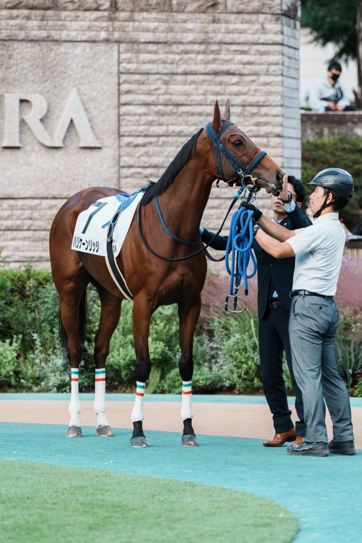 2023/10/21 3歳以上1勝クラス ハリケーンリッジ