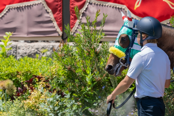 2024/6/8 3歳以上1勝クラス(牝) ハリケーンリッジ