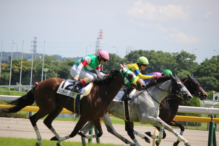 2024年6月 ハリケーンリッジ