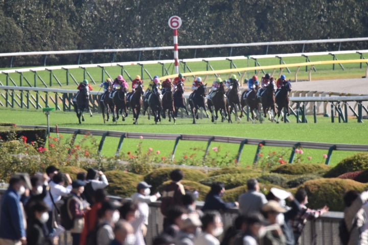 🎊初勝利 スキルヴィング
