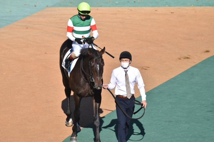 🎊初勝利 スキルヴィング