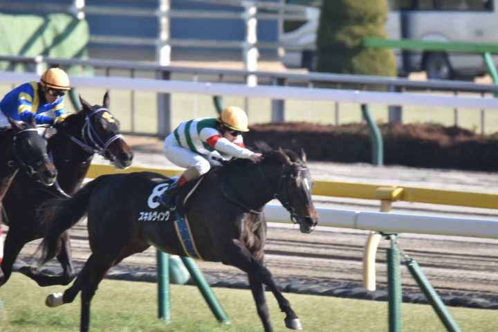 ゆりかもめ賞優勝 スキルヴィング
