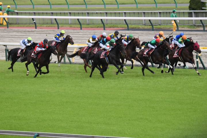 ㊗️青葉賞優勝 スキルヴィング