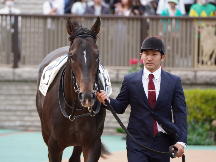 2023/5/28 東京優駿(G1) スキルヴィング
