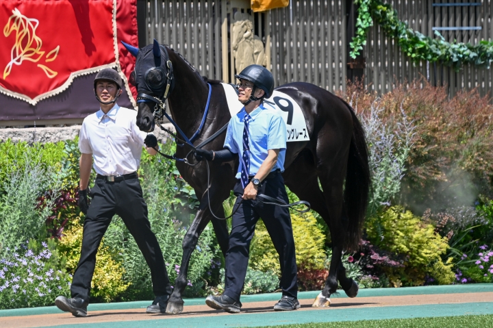 2024.06.01 3歳以上1勝クラス ディバイングレース