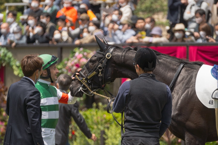 2023/4/29 3歳未勝利(牝) ディバイングレース