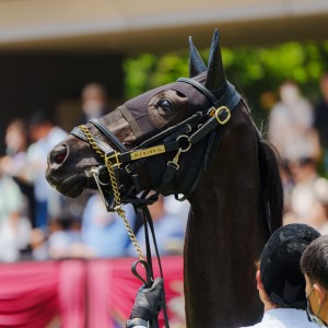 2023/5/27 3歳未勝利