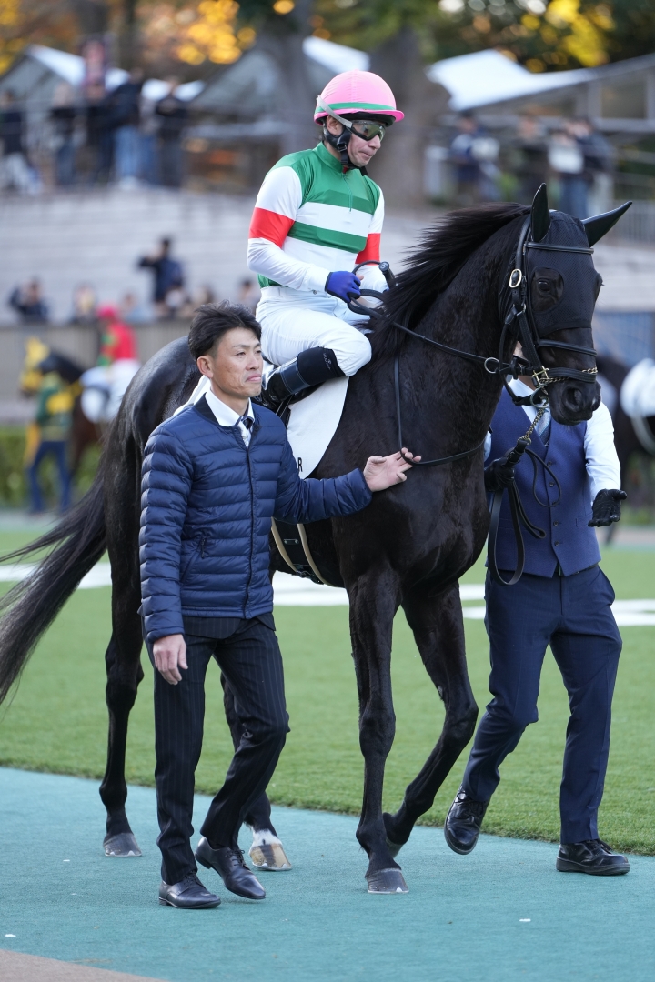 2023/11/18 3歳以上1勝クラス ディバイングレース