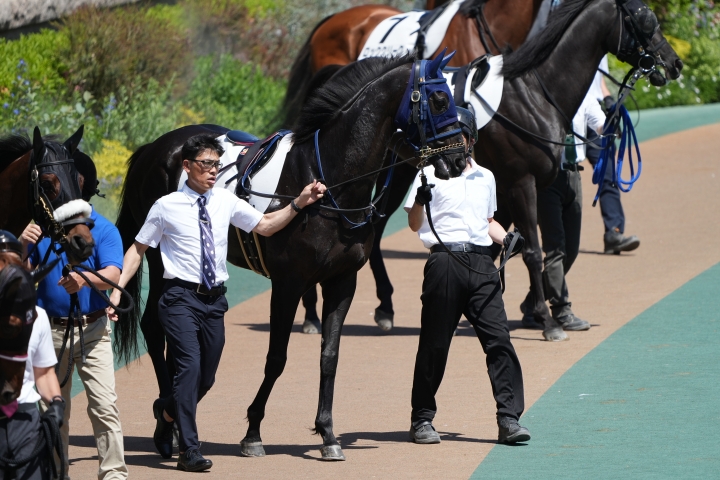 2024/5/5 4歳以上1勝クラス ディバイングレース