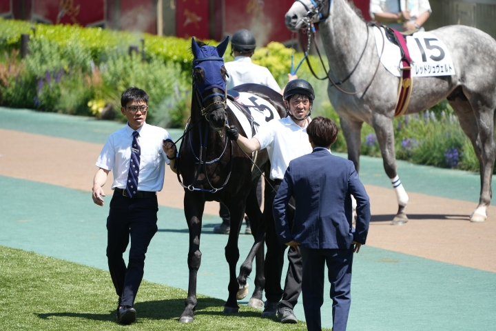 2024/5/5 4歳以上1勝クラス ディバイングレース