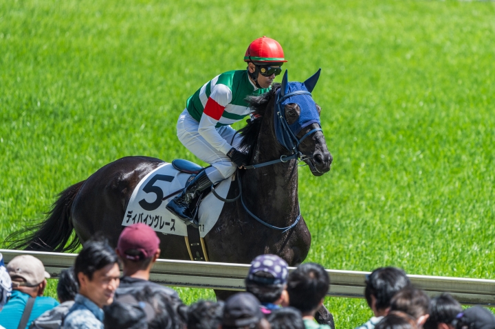 2024/5/5 4歳以上1勝クラス ディバイングレース