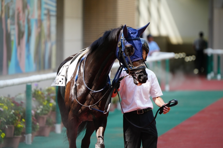2025/6/29 3歳以上1勝クラス ディバイングレース