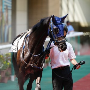 2025/6/29 3歳以上1勝クラス