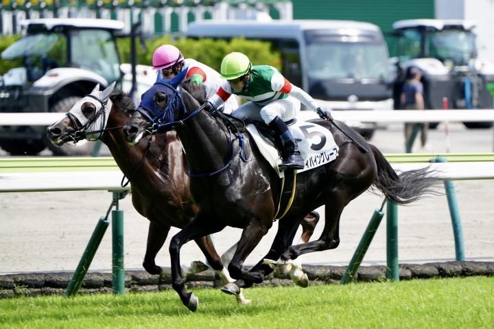 2025/6/29 3歳以上1勝クラス ディバイングレース