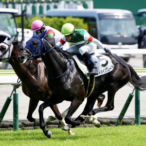2025/6/29 3歳以上1勝クラス