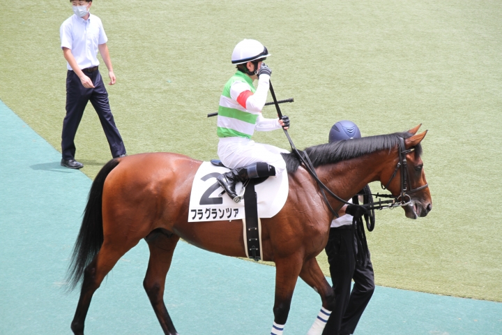 パドック フラグランツァ