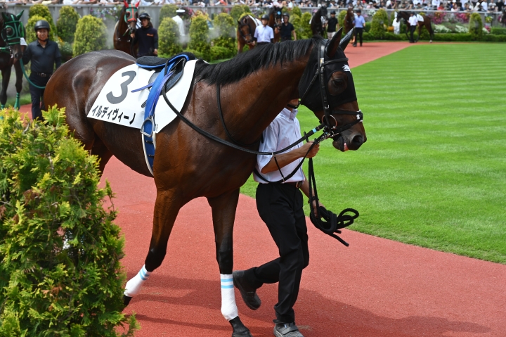 パドック イルディヴィーノ