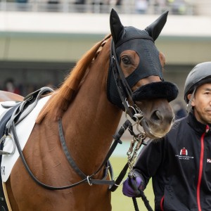 2022/10/22 2歳未勝利(牝)