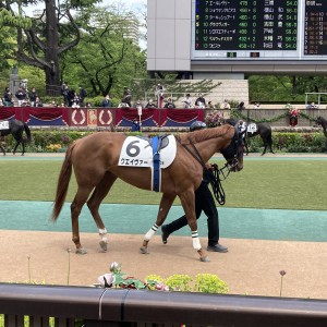 2023/4/23 3歳未勝利
