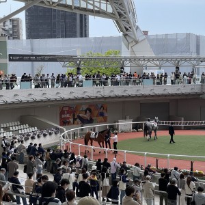 2023/4/16 3歳1勝クラス(牝)