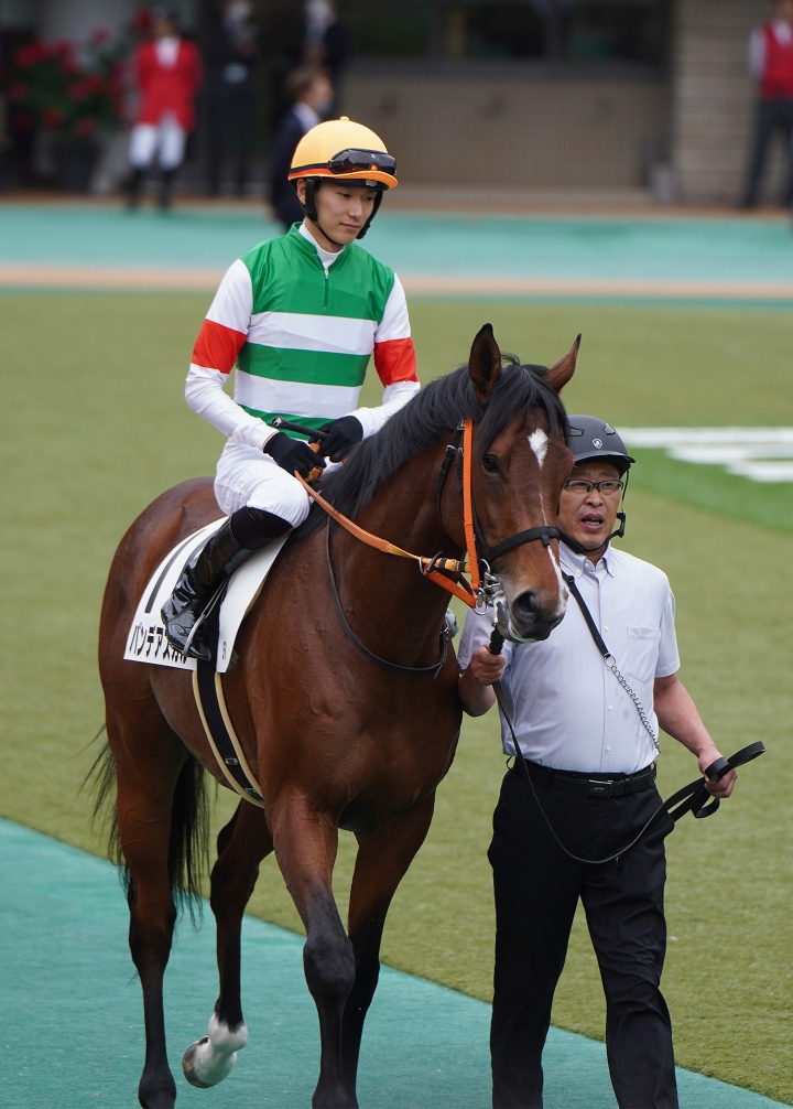 2023/5/14 3歳1勝クラス パンデアスカル