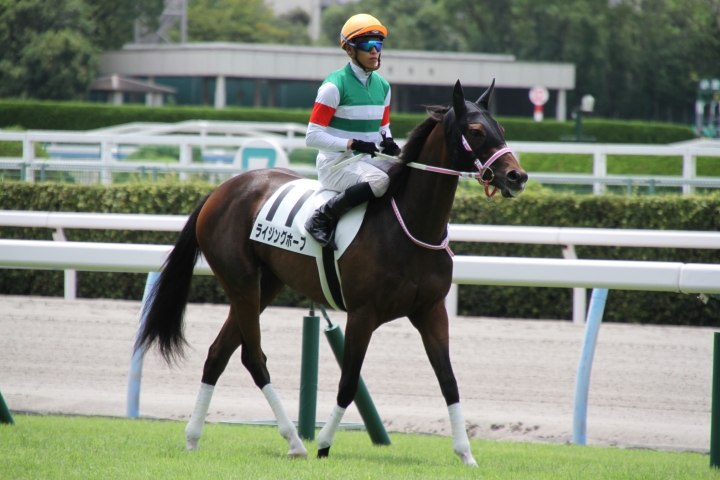馬場入り ライジングホープ