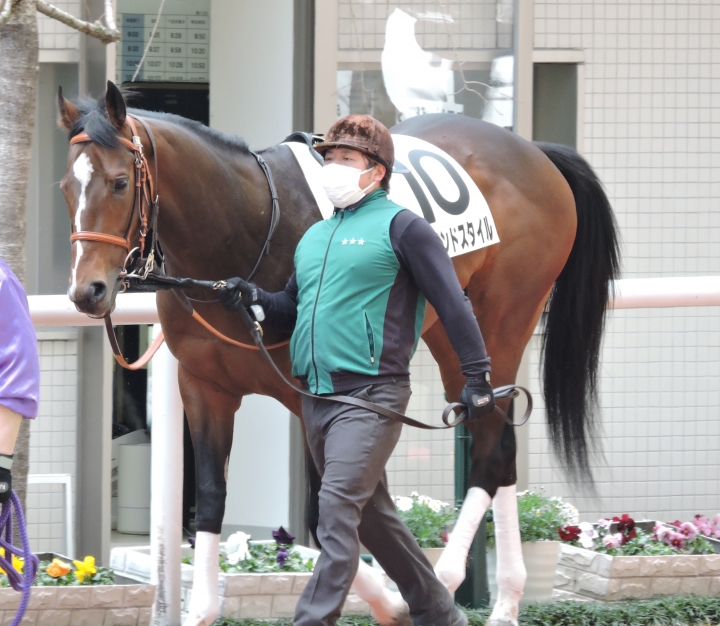 2023/3/5 3歳未勝利 ガーランドスタイル