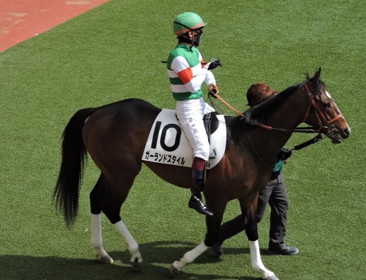 2023/3/5 3歳未勝利 ガーランドスタイル