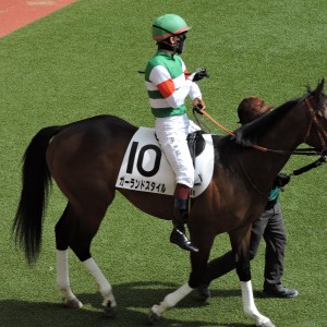 2023/3/5 3歳未勝利