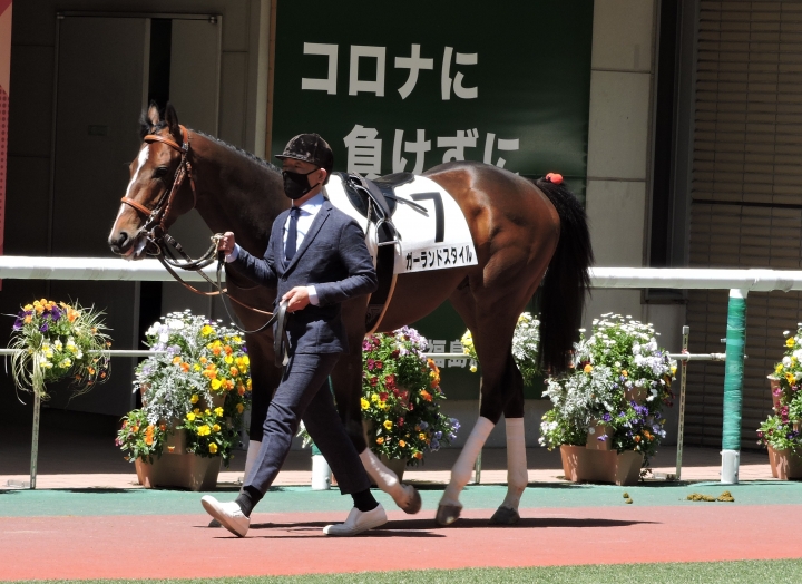 2023/4/23 3歳未勝利 ガーランドスタイル