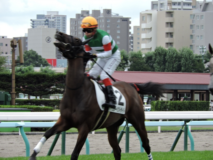 メイクデビュー 返し馬 ブルーペクトライト