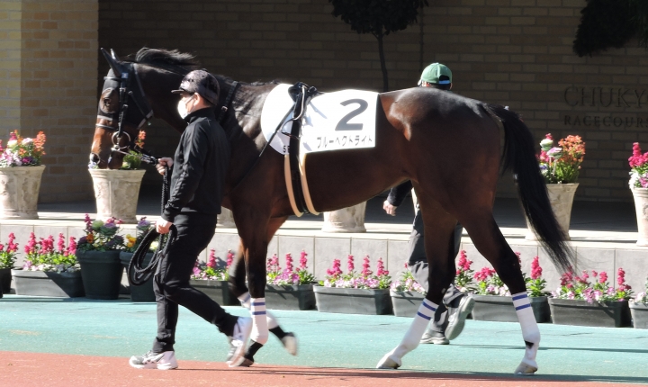 2023/1/8 3歳未勝利 ブルーペクトライト