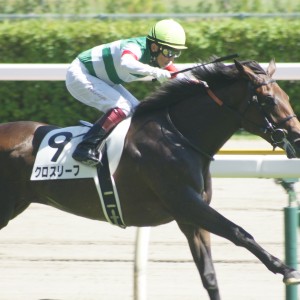 2022/8/13 2歳新馬(牝)