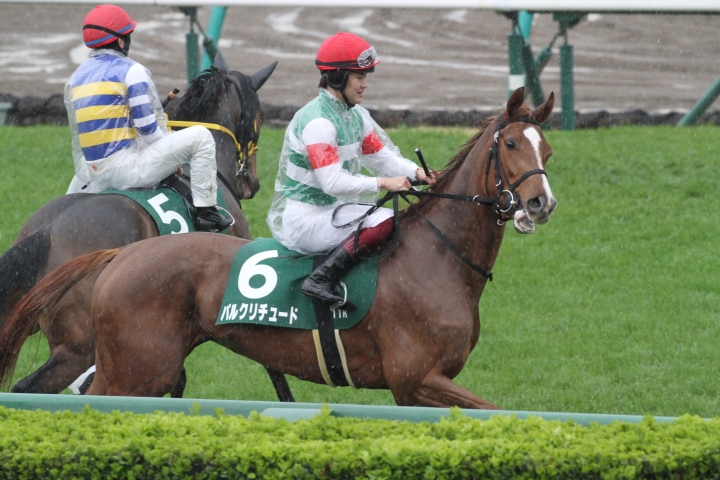 フラワーカップ馬場入り パルクリチュード