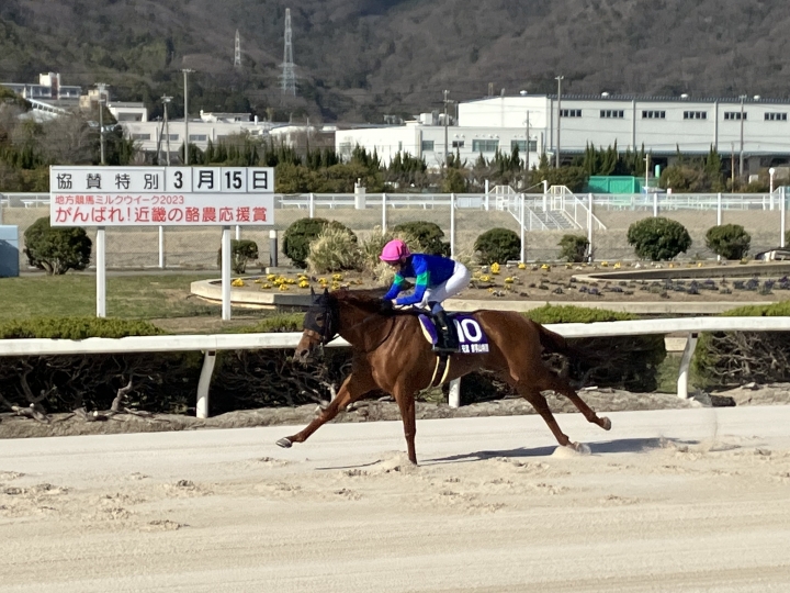 2023/3/15 書写山特別(交流) ドンカルロ