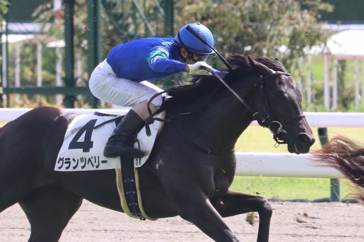 2022/9/18 2歳未勝利 グランツベリー