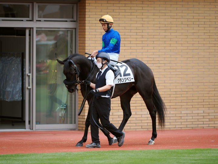 2023/5/14 3歳未勝利 グランツベリー