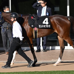 2024/12/1 南総S(3勝クラス)