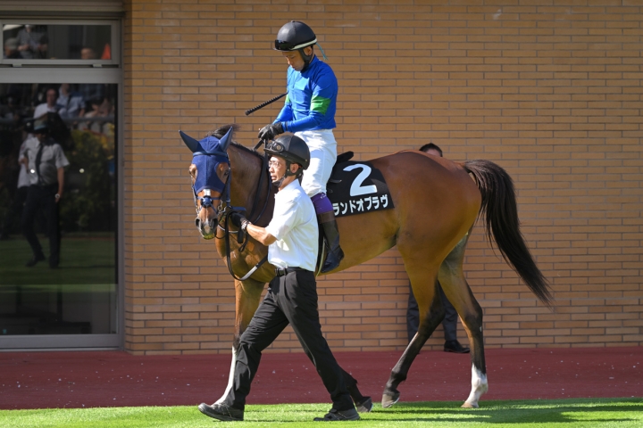2025/7/26 新潟日報賞(3勝クラス) ランドオブラヴ