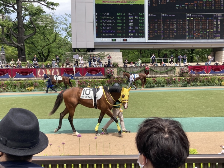 2023/4/23 3歳未勝利 ウインアチーヴ