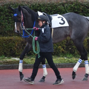 笠松６戦目パドック