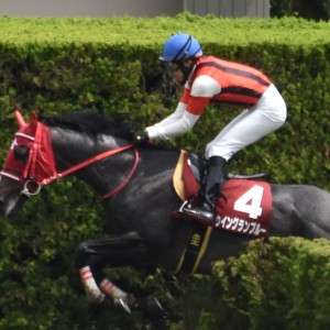 障害３戦目レース中