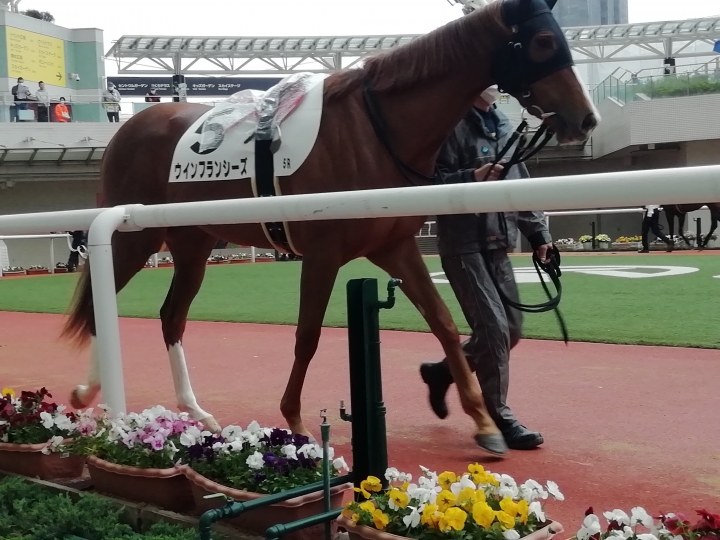 2023年4月 ウインフランシーズ