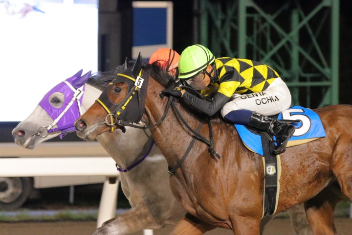 2023年10月 コトヴィア